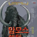 맘모스 - 동래구 금강공원로 34 | 맘모스