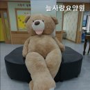 늘사랑식품 | 화성요양원 늘사랑요양원 전문 간호 케어