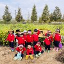 별하농장 이미지