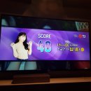 악어떼 노래연습장 이미지