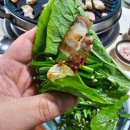 약돌돼지샤브샤브 이미지