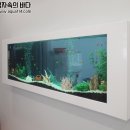 준소아청소년과의원 Daum카페