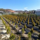 양평한울공인중개사사무소 이미지