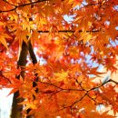 제이윤 멀티짐 이미지