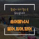 화도로 66 이미지