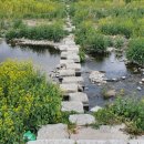 신녕천강변공원 이미지