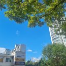 김충기꽃삼겹 경산시지점 | [23.10.21-22] 경산 갓바위캠핑장 A4 1박 2일의 기록