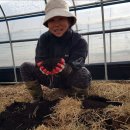 이기순농장 이미지