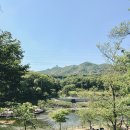 초막골 생태공원 티스토리