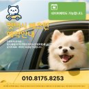 펫택시 이미지
