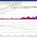 동서기획 쇼핑 이미지