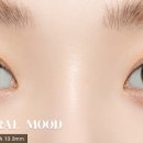 천리안안경 네이버블로그