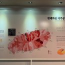 제주4·3평화기념관 티스토리