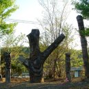 시안아트 이미지