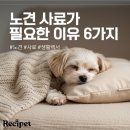 you you자적(편안하고 행복한 삶) | 🦴 노견 사료가 필요한 이유 6가지!