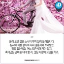 일도상사