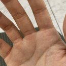 안녕 휘트니스 도당점 | 안녕 휘트니스 도당점 :: 양승준 선생님의 왕재밌는 PT와 함께했던 깔깔 다이어트 일기💪🏻