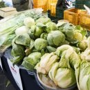 용훈농장 이미지