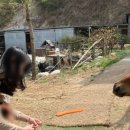 페리아 902 오션뷰 키즈 가족 펜션 이미지