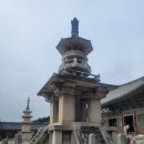 라이온스 | 한국 대만 화합의 시간 라이온스클럽 해외교류행사 외국인 대구 인근 관광 투어 후기