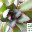 성심법무사사무소 이미지