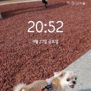 까까 주시개 이미지