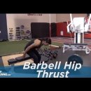 Barbell Hip Thrust 이미지
