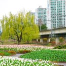 도시철도 화명역 5번 출구 이미지