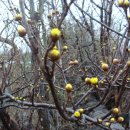 산천토담집 이미지