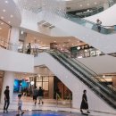 비스타코인노래연습장 이미지