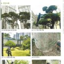 (주)희망나무종합병원 네이버블로그