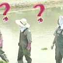 쌍둥이 게스트 하우스 이미지