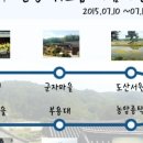 스테이알리 이미지