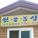 뒷골농장 이미지