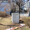 가람로134번길 Daum카페