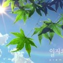 썬헤어미용실