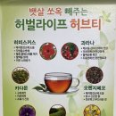 하이점핑다이어트 이미지