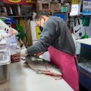 무릉도원수산 | 노량진수산시장 방어회 맛집 모듬회 포장 횟집 양현수산