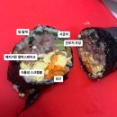 안양세무서_하 | [주간일기] 터벅터벅 나의 일상(이사, 사트얌요가, 비건김밥, 전시 그 외 이것저것)