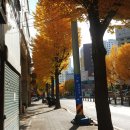 동방포장(1종) | 부산카페거리 서면맛집 마이페이보릿쿠키 + 당일치기부산여행일정