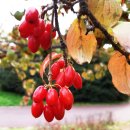 민제궁 | 사찰에서 만난 작은 것들