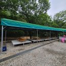 삼태기 | 내돈내산 아기랑 물놀이 괴산 삼태기 평상 꼼꼼후기(방문일26.7.17)