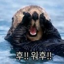 안 간다더니 결국 갔다온 자의 후기