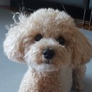 365화목약국 이미지