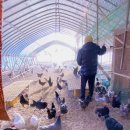 수의농장 이미지