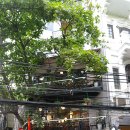 로터스블랑 이미지