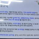 [공유] 다미의 생물학 교실 5강 후기입니다