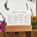 황남소소가