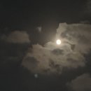 이자카야월 이미지