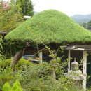 소나무정원 이미지